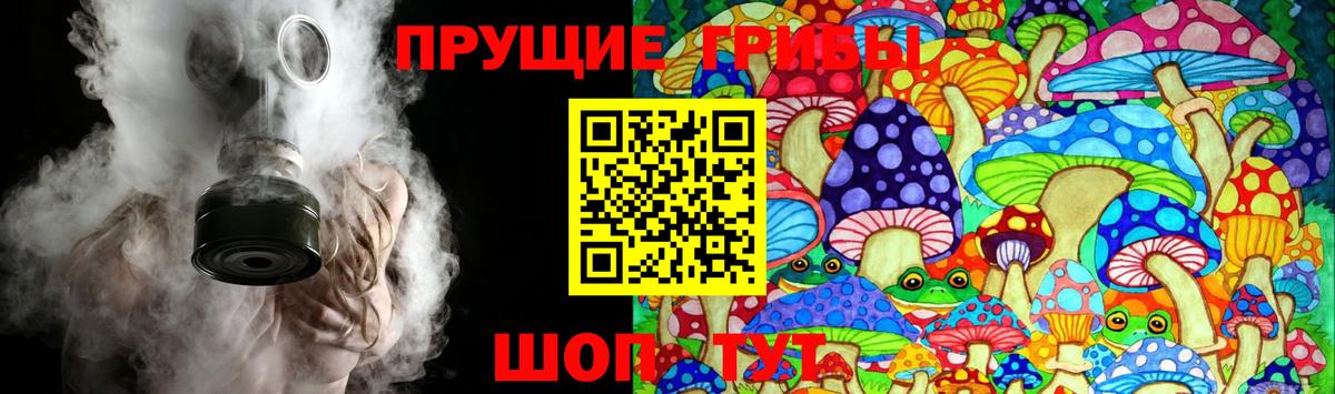 Галлюциногенные грибы мицелий  Псилоцибиновые грибы мухоморы  Всеволожск  где купить наркоту  Вход с VPN 